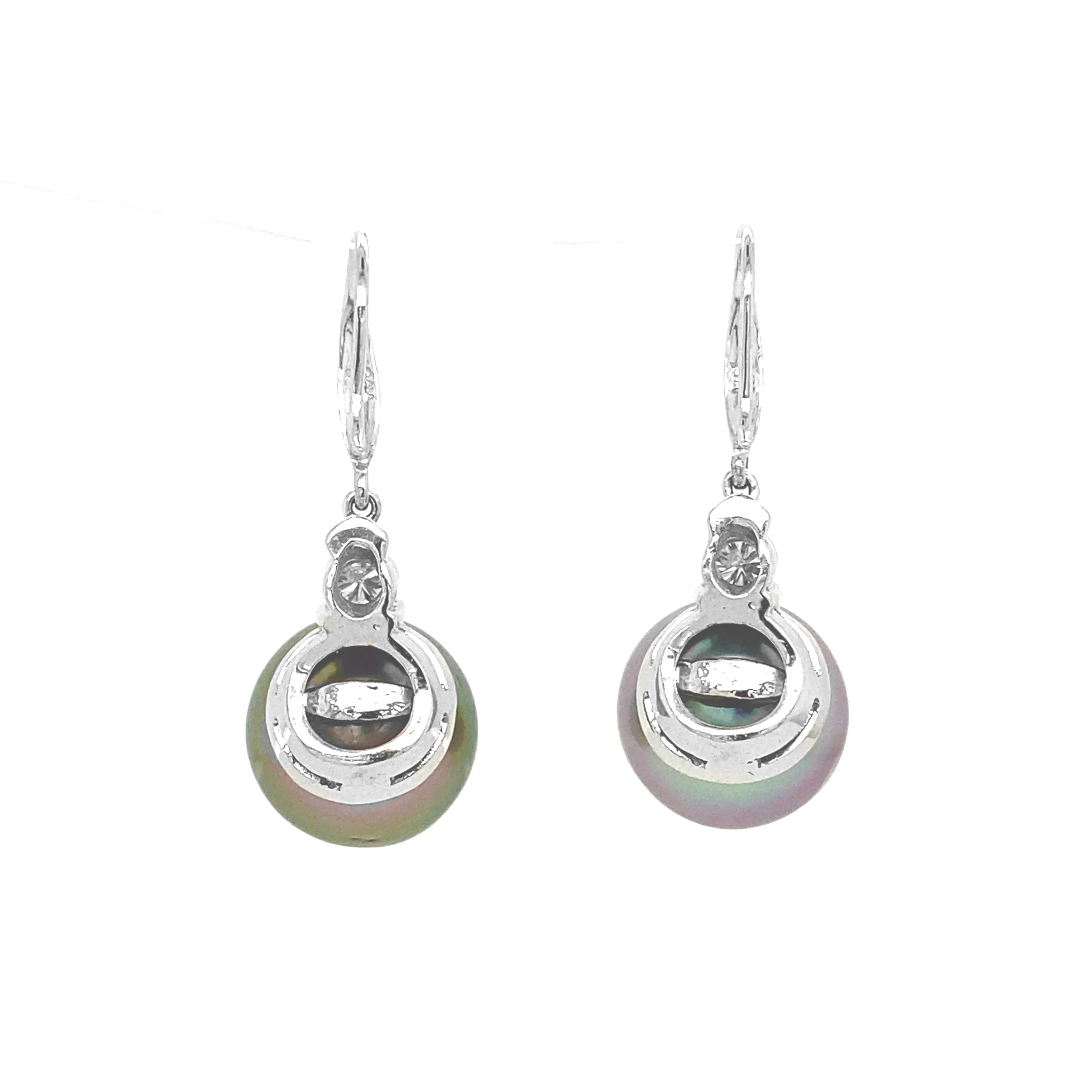 Grey South Sea Pearl Earrings White Gold E010N