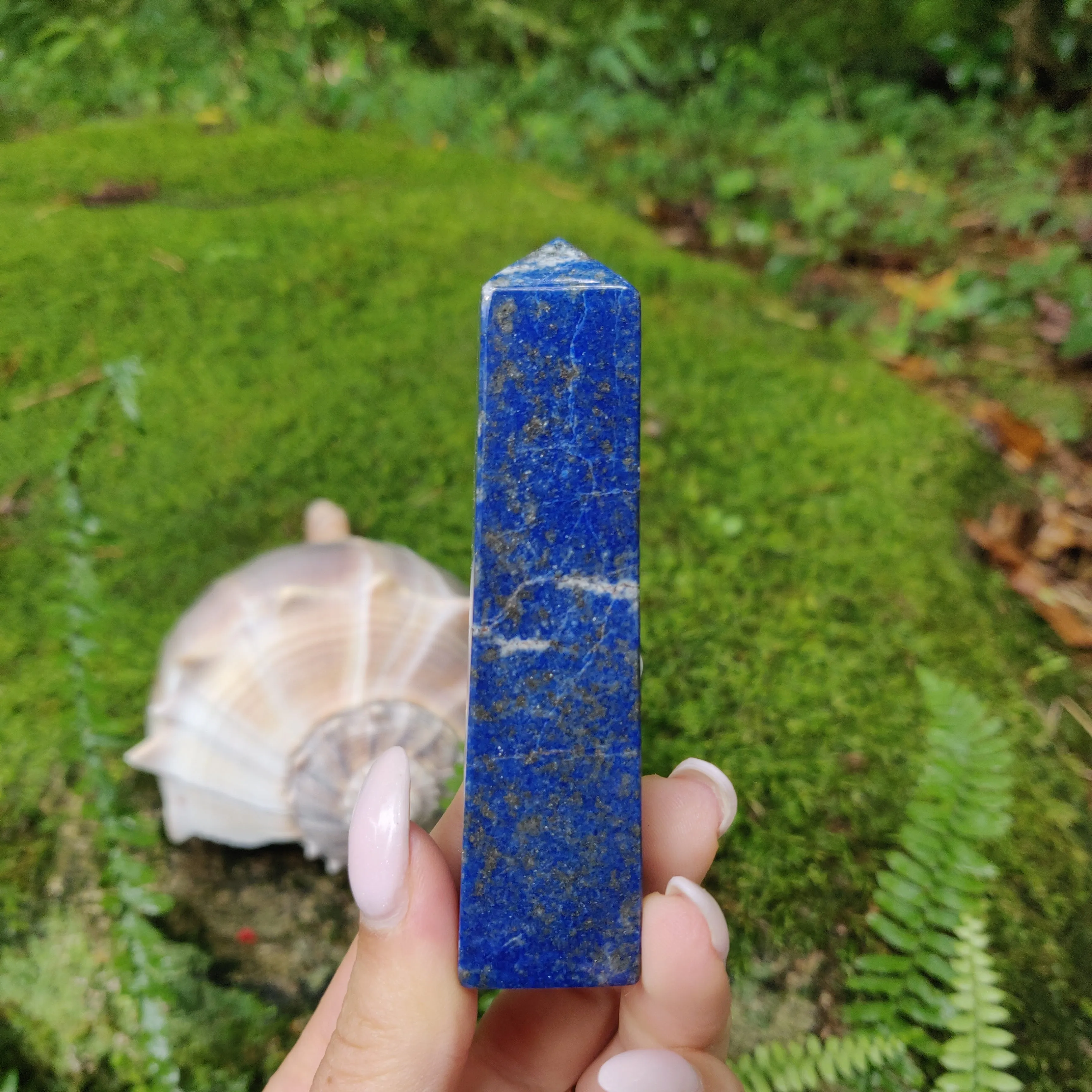 Lapis Lazuli Point (#14)